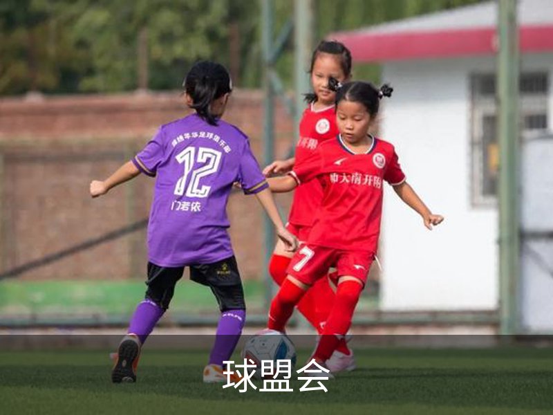 球盟会介绍